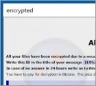 Elder Ransomware