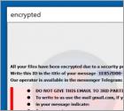 Banhu Ransomware