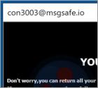 Con30 Ransomware