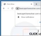 Bestcaptcharesolver.com Werbung