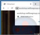 Netflowgroup.com Werbung