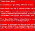 Black Kingdom Ransomware