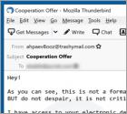 This Is Not A Formal Email Betrug