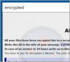 CALVO Ransomware