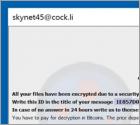 Combo Ransomware