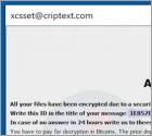 Xcss Ransomware