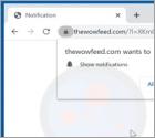 Thewowfeed[.]com Werbung