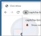 Captcha-bros.com Werbung