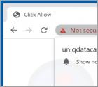 Uniqdatacaptcha.top Werbung