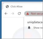Uniqdatacaptcha.top Werbung