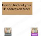 Wie finden Sie Ihre IP-Adresse bei einem Mac heraus?