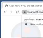 Pushnott.com Werbung
