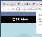 McAfee Total Protection Has Expired POP-UP Betrug
