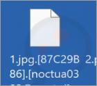 Noctua Ransomware
