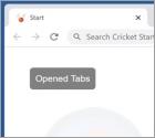 Cricket Start Browserentführer