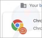 Gefälschte "Chrome" Erweiterung