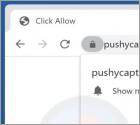 Pushycaptcha.live Werbung