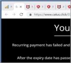 McAfee - Your Card Payment Has Failed! POP-UP Betrug