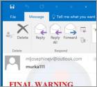 Final Warning E-Mail-Betrug