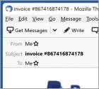 PayPal - Your Order Is Already Processed E-Mail-Betrug