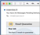 Email Quarantine Betrug