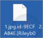 Nlb Ransomware