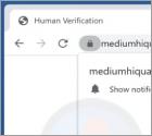 Mediumhiquality.com Werbung