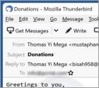 Donation From Lottery Winner E-Mail-Betrug