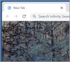 Infinity Search Browserentführer