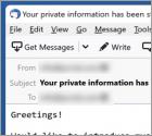 Specialized Hacker Succeeded In Hacking Your Operating System E-Mail-Betrug