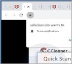 CCleaner Total Protection POP-UP Betrugs