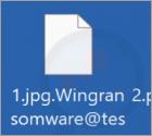 Wing Ransomware