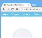 Searches.vi-view.com Weiterleitung