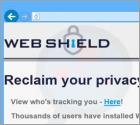 Web Shield Werbefinanzierte Software