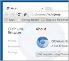 Olcinium Browser Werbefinanzierte Software