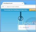 HoistSearch.com Weiterleitung