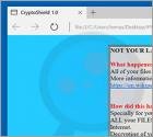 CryptoShield Erpressersoftware
