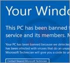 Your Windows Has Been Banned Schwindel