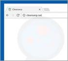 Cleanserp.net Weiterleitung