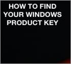 Wie Sie Ihre Microsoft Windows und Office Produktschlüssel finden
