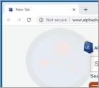 Alphashoppers.co Weiterleitung