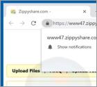 Zippyshare Virus