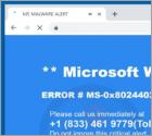 ERROR # MS-0x8024402C POP-UP Betrug