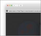 Flash Player Might Be Out Of Date POP-UP Betrug (Mac)