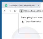 Hajoopteg.com POP-UP Weiterleitung