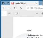 I Do Know Your Passwords Sextortion Email Betrug (PDF)