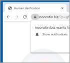 Noorotin.biz Werbung