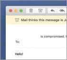 I'm A Programmer Who Cracked Your Email Betrug