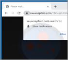 Sauwoaptain.com Werbung