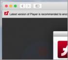 "Adobe Flash Player" Is Out Of Date POP-UP Betrug (Mac)